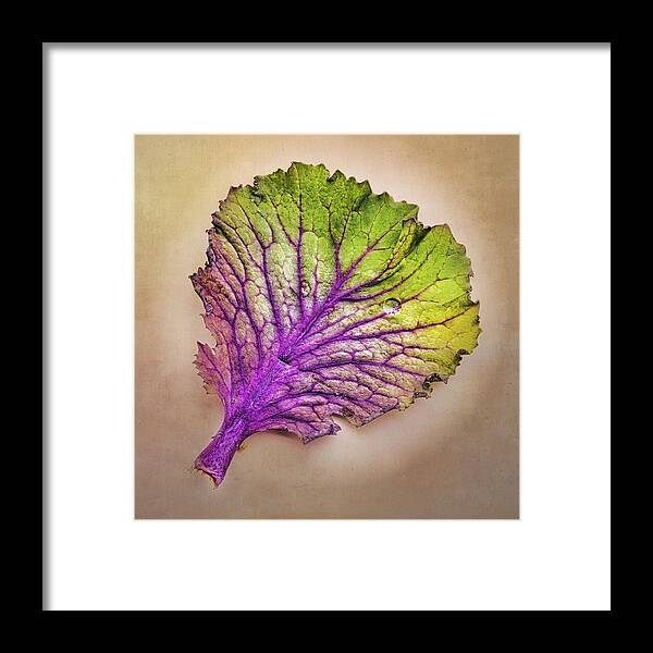 Leaf Framed Print featuring the photograph Colorful Leaf by Gary Slawsky