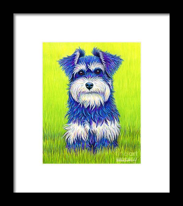 Miniature Schnauzer Framed Print featuring the drawing Colorful Miniature Schnauzer Dog by Rebecca Wang