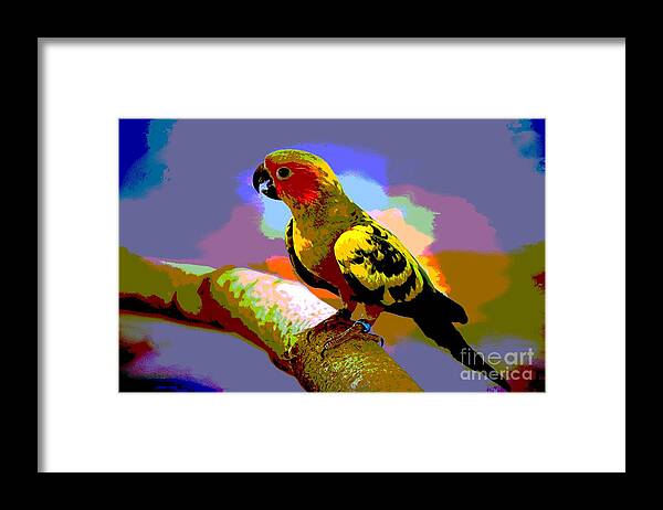 Parakeet Framed Print featuring the mixed media Colorful Parakeet by Ian Gledhill