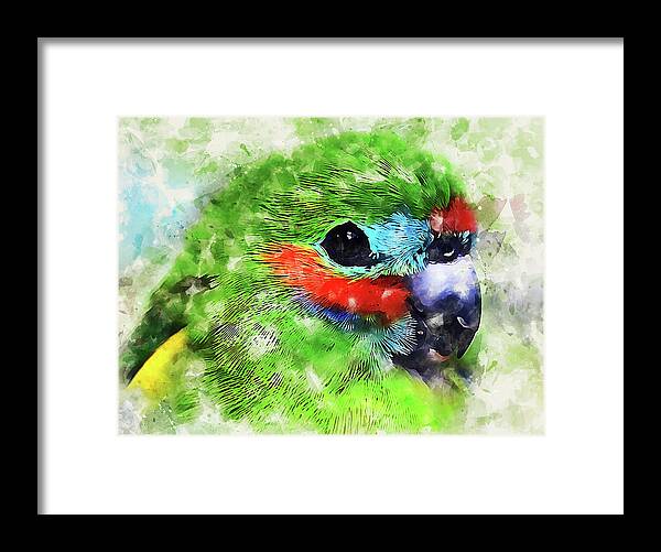 Exotic Bird Framed Print featuring the painting Colorful Parrot - 22 by AM FineArtPrints