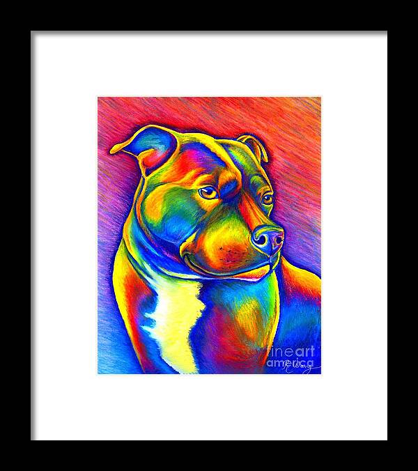 Staffordshire Bull Terrier Framed Print featuring the painting Colorful Rainbow Staffordshire Bull Terrier Dog by Rebecca Wang