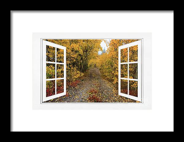 Open Window Framed Print featuring the photograph Colorful Trees Down the Drive White Open Window Frame View by James BO Insogna
