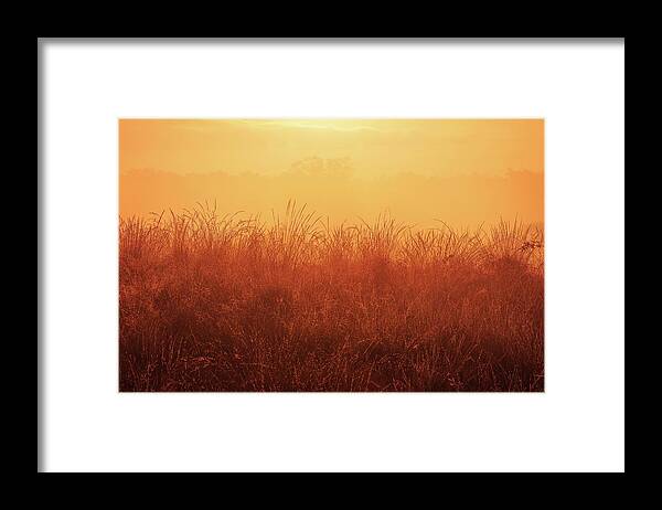 National Framed Print featuring the photograph Colors of Maasduinen 5 by Jaroslav Buna