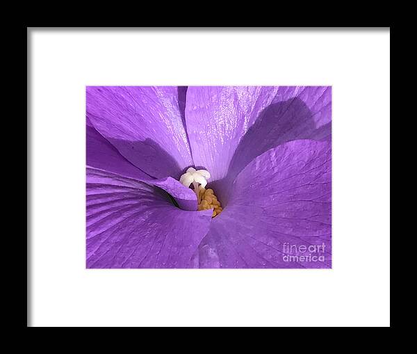 Peace Framed Print featuring the photograph Come Together by Tiesa Wesen