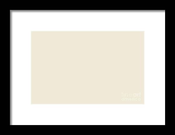 Creamy Off-white Solid Color Accent Shade / Hue Matches Sherwin