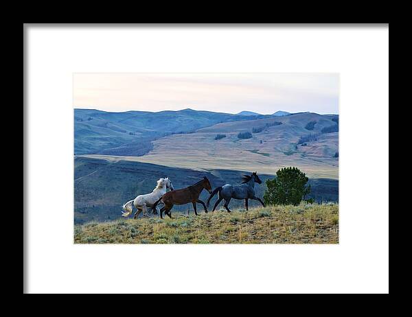 Western Art Framed Print featuring the photograph Comin' In Hot by Alden White Ballard
