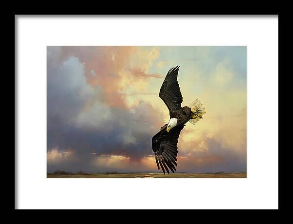Bald Eagle Framed Print featuring the photograph Coming Down To Earth by Jai Johnson