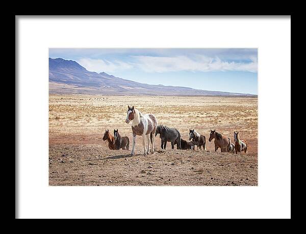 Wild Horses Framed Print featuring the photograph Coming Home by Doug Sims