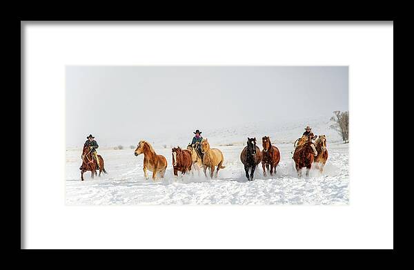 Horses Framed Print featuring the photograph Coming Home by Elin Skov Vaeth