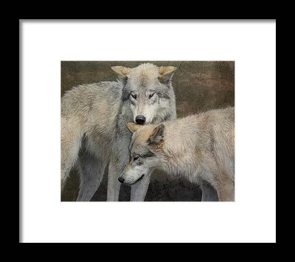 Fine Art Photography Framed Print featuring the photograph Companions by Mary Hone