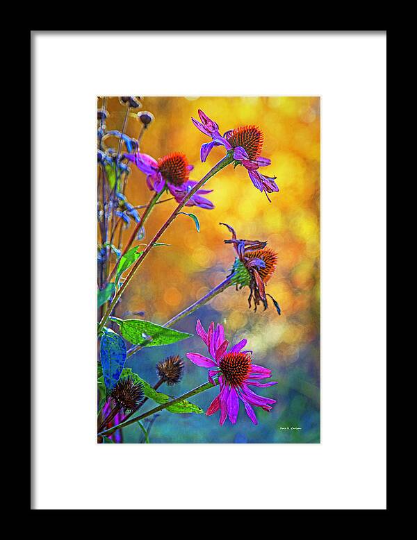 Coneflower Framed Print featuring the photograph Coneflower Magic by Dale R Carlson
