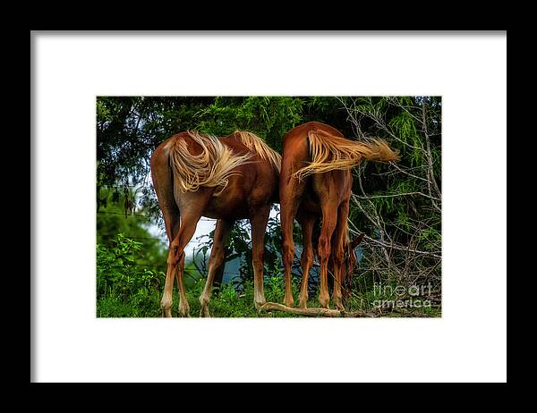 Horse Framed Print featuring the photograph Conference Call by Shelia Hunt