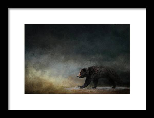 Wildlife Framed Print featuring the photograph Confident Grizzly by Jai Johnson