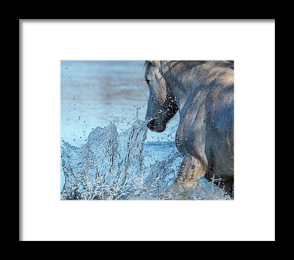 Wild Horses Framed Print featuring the photograph Cool Blue by Mary Hone