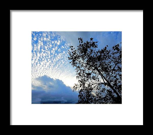 Sky Framed Print featuring the photograph Cool Cloud Sky by Andrew Lawrence