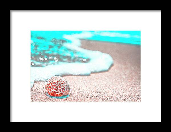 Australia Framed Print featuring the photograph Coral on the Shore by Jay Heifetz