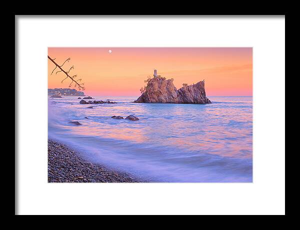 Tide Framed Print featuring the photograph Cormorants rock by Giovanni Allievi
