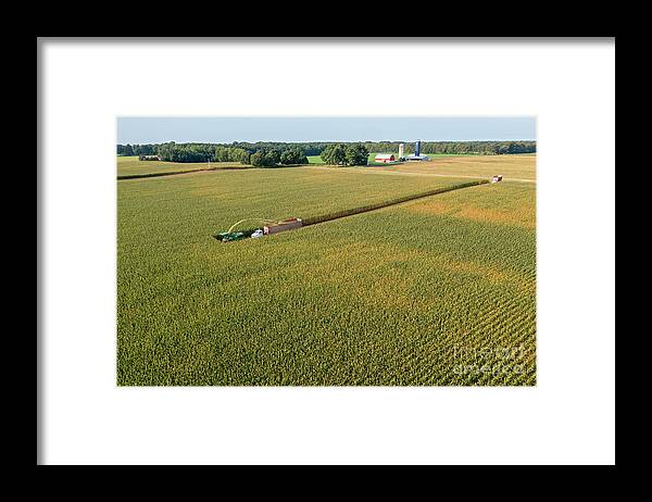 Corn Framed Print featuring the photograph Corn Harvest 2 by Jim West