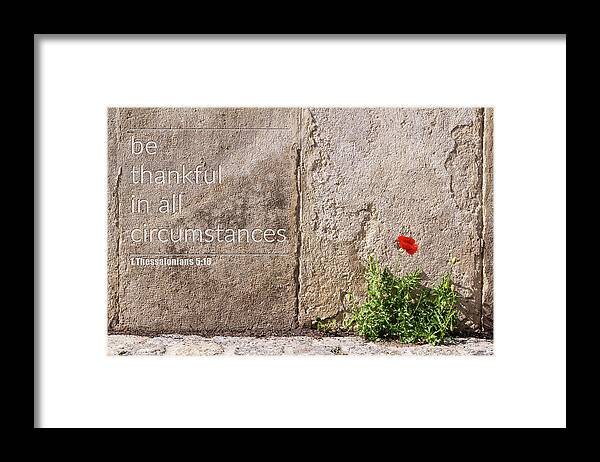 City Framed Print featuring the photograph Be thankful in all circumstances by Viktor Wallon-Hars