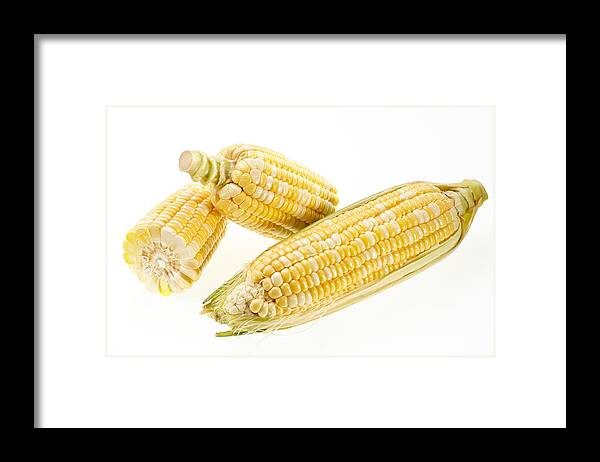 Sweetcorn Framed Print featuring the photograph Corn by Skiving