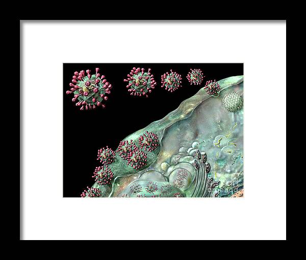 Attachment Framed Print featuring the digital art Coronavirus Life Cycle on Black by Russell Kightley