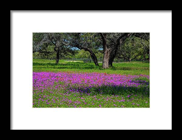 Texas Framed Print featuring the photograph Country Heaven by Lynn Bauer