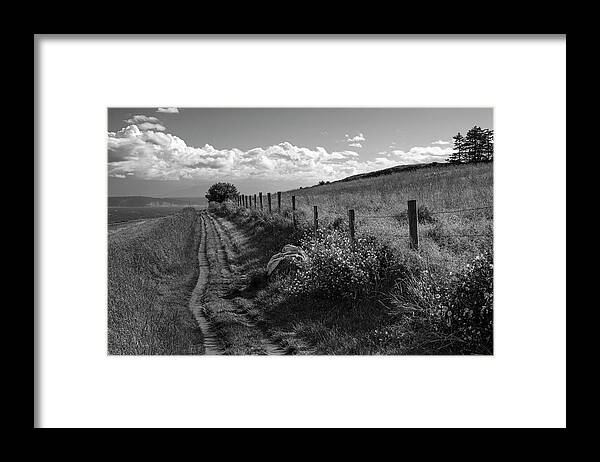 Lane Framed Print featuring the photograph Country Lane at Ebey's Landing by Mary Lee Dereske