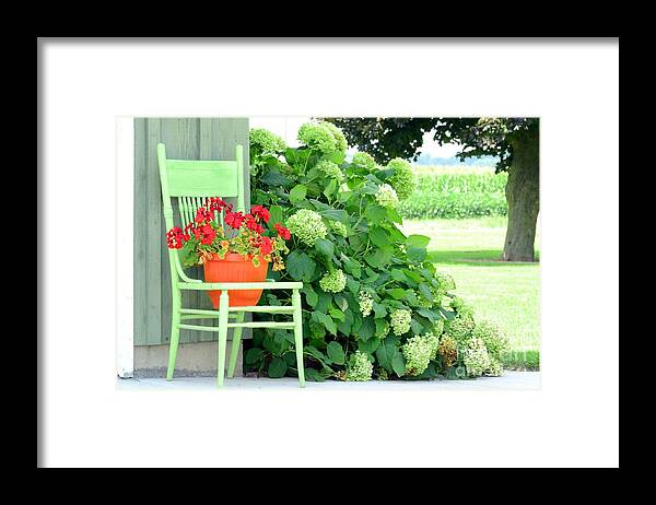 Country Life Living Framed Print featuring the photograph Country life by Action