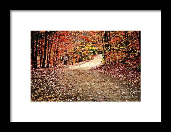 Fall Framed Print featuring the photograph Country road in fall forest by Elena Elisseeva