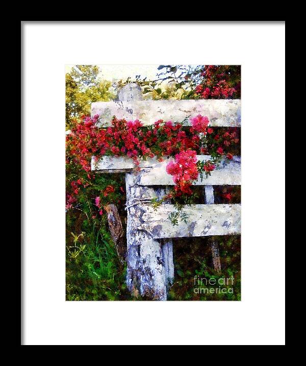 Pink Roses Framed Print featuring the photograph Country Rose on a fence 2 by Janine Riley