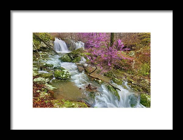 Spring Framed Print featuring the photograph Coward's Hollow Shut-ins II by Robert Charity