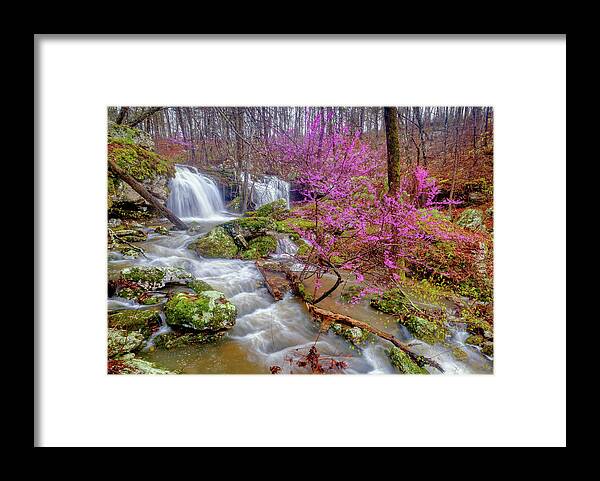 Waterfall Framed Print featuring the photograph Cowards Hollow Shut-ins III by Robert Charity