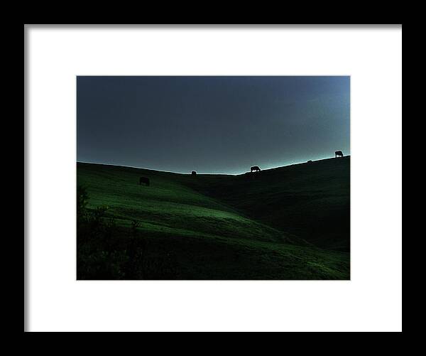 Cows Framed Print featuring the photograph Cows on a Blue Ridge at Dusk by Wayne King