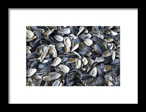 Large Group Of Objects Framed Print featuring the photograph Cracked Sunflower seeds by Mikroman6