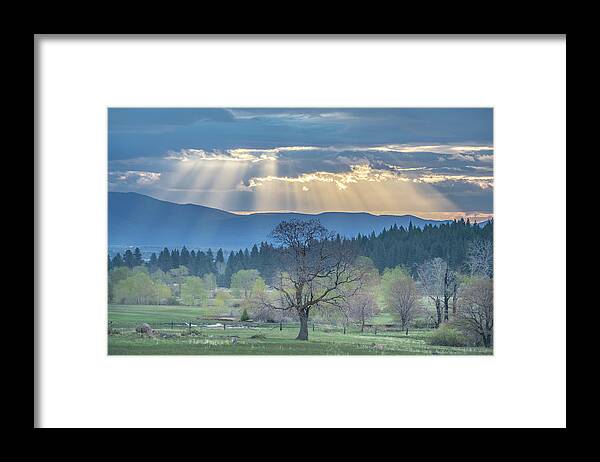 Sun Framed Print featuring the photograph Crepuscular by Randy Robbins