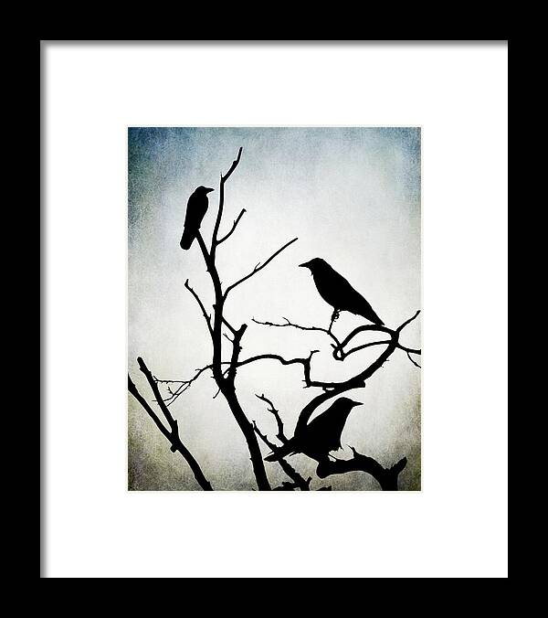 Bird Framed Print featuring the digital art Crow Birds on Trees Bird 90 by Lucie Dumas