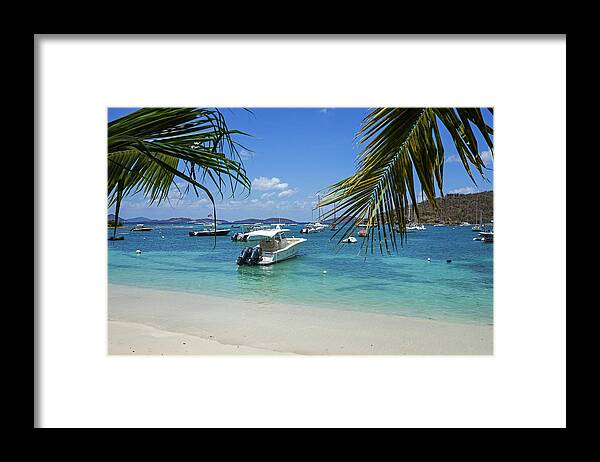 Cruz Framed Print featuring the photograph Cruz Bay Beach Palm Tree Leaves Saint John by Toby McGuire