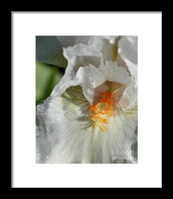 White Framed Print featuring the photograph Crystal White by Fantasy Seasons