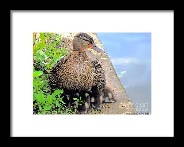 Ducks Framed Print featuring the photograph Cuddling As The Clouds Roll By by Tami Quigley