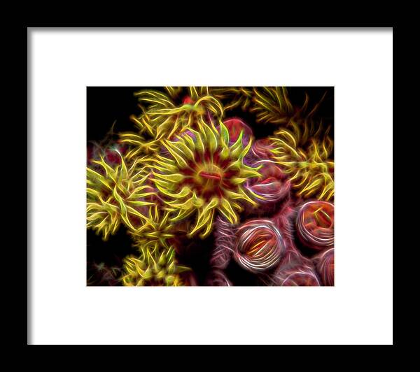 Coral Framed Print featuring the digital art Cup Corals Fractalized by Gary Hughes