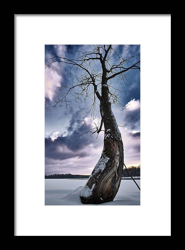 Tree Framed Print featuring the photograph The Solo Curb Tree On The River by Carl Marceau