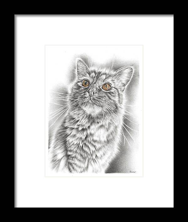 Cat Framed Print featuring the drawing Curious Kitten by Casey 'Remrov' Vormer