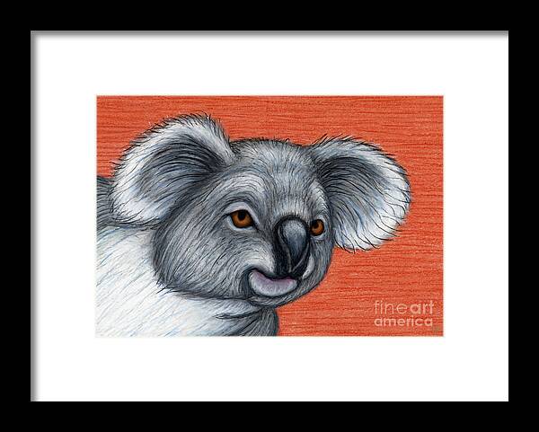 Koala Framed Print featuring the painting Curious Koala by Amy E Fraser