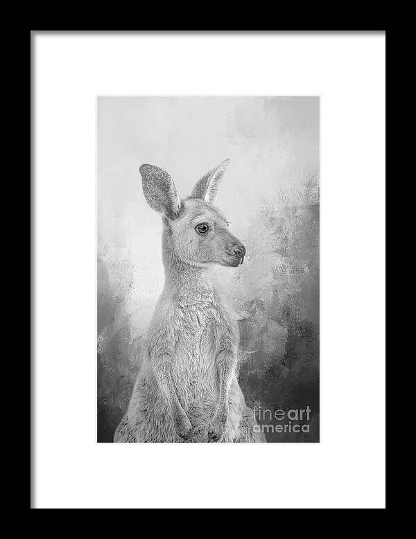 Kangaroo Framed Print featuring the photograph Cute Kangaroo BW by Elisabeth Lucas