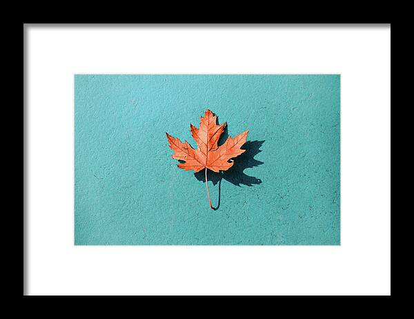 Autumn Framed Print featuring the photograph Cyan Autumn by Scott Norris