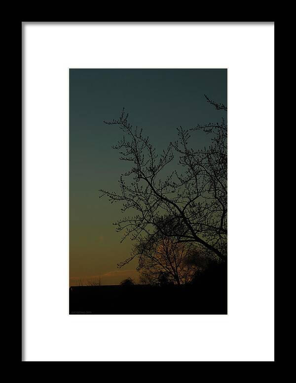 Sunrise Dawn Winter Trees Dark Cyan Morning Framed Print featuring the photograph Cyan Morning from Rivendell March 3 2021 by Miriam A Kilmer