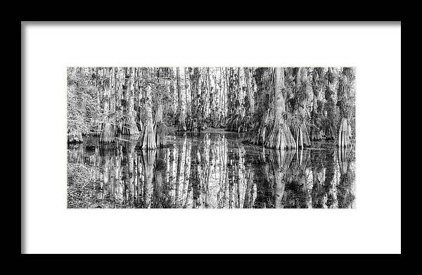 Big Cypress National Preserve Framed Print featuring the photograph Cypress Dome by Rudy Wilms