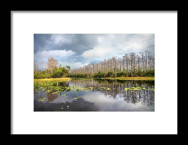 Clouds Framed Print featuring the photograph Cypress Reflections after the Rain by Debra and Dave Vanderlaan