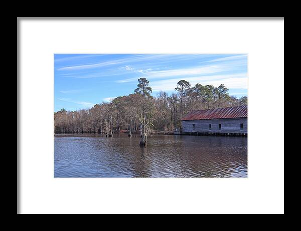 George L. Smith State Park Framed Print featuring the photograph Cypress Tree Dead Ahead by Ed Williams