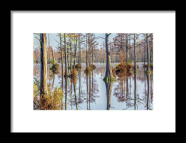 Cypress Trees Framed Print featuring the photograph Cypress Trees 03 by Jim Dollar